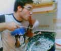 Ingrandisci Cena da Nico, Adone lava il mestolo