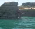 Ingrandisci Appesi allo scoglio